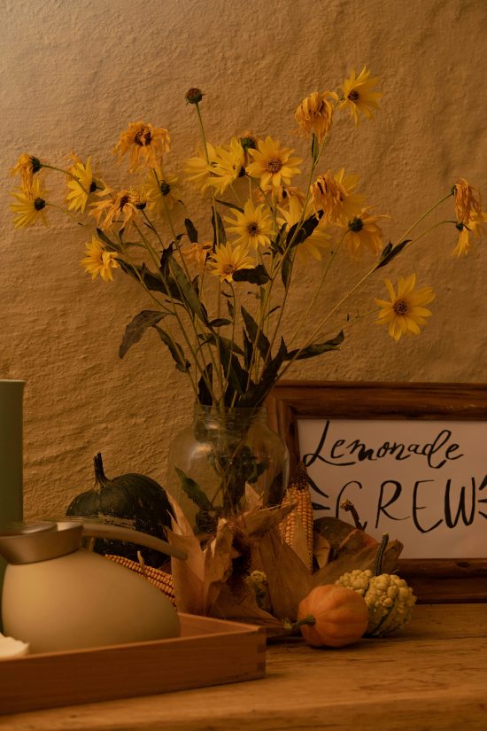 🍁 Dale la Bienvenida al Otoño: Ideas para una Decoración Cálida y Tendencia 🍂