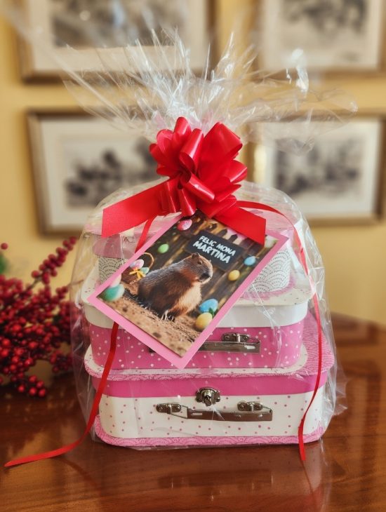 💛 “El padrí que sempre sorprèn: les mones més dolces d’en Marc per a la Martina” 🍫🐣