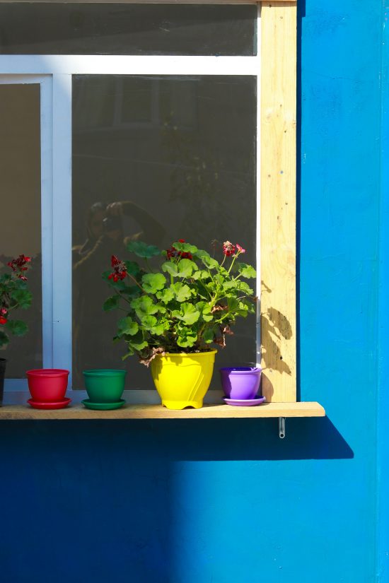 🪴 Macetas con alma: ideas originales y baratas para dar vida a tu hogar 💡
